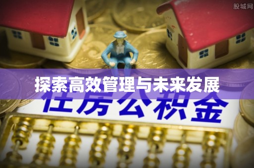 雨花探索高效管理与未来发展