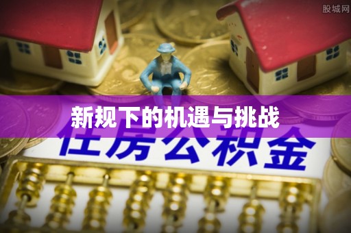 雨花新规下的机遇与挑战