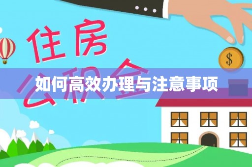 雨花如何高效办理与注意事项