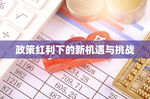 雨花政策红利下的新机遇与挑战