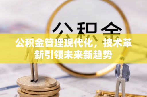 雨花公积金管理现代化，技术革新引领未来新趋势