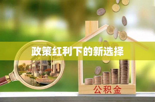 雨花政策红利下的新选择