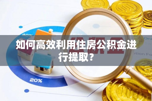 雨花如何高效利用住房公积金进行提取？