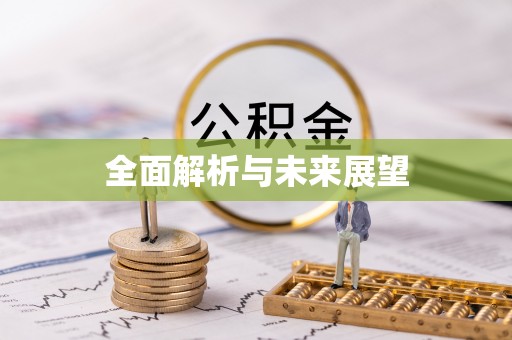 雨花全面解析与未来展望